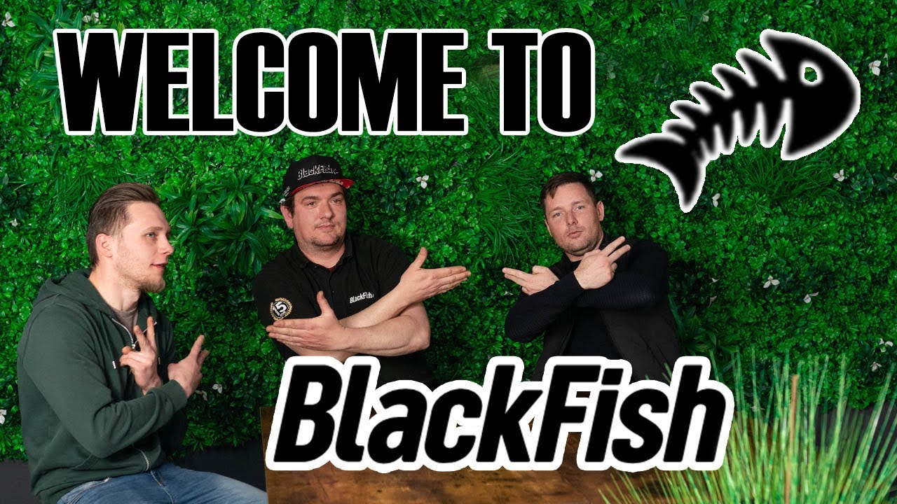 Black Fish Graphics
